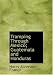 Tramping Through Mexico; Guatemala and Honduras (Large Print Edition)