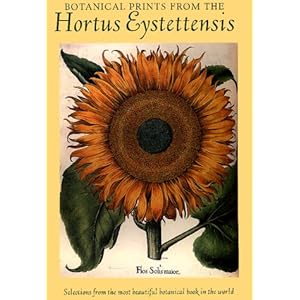 Botanical Prints from the Hortus Eystettensis: Selections from the Most Beautiful Botanical Book in the World