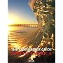The Stormrider Guide North America (Stormrider Guides)
