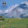 Mountain Bike 2001 Calendar