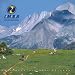 Mountain Bike 2001 Calendar