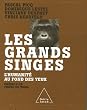 Les grands singes : L'humanit� au fond des yeux