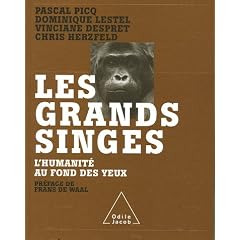 Les grands singes : L'humanit� au fond des yeux