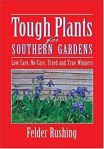 Southern