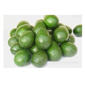 Avocados -Bacon Avocados for Sale- To Buy - California Bacon Avocados - Shipping Included... by California Bacon Avocados