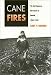 Cane Fires: The Anti-Japanese Movement in Hawaii, 1965-1945