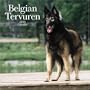Belgian Tervuren 2006 Calendar