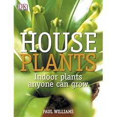 Houseplants: Indoor Plants Anyone Can Grow