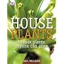Houseplants: Indoor Plants Anyone Can Grow