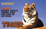 Tiger Zooflipz