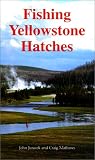 Fishing Yellowstone Hatches
