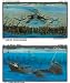 Roatan Dive Guide, 2nd Edition (50 of Roatan's most popular dive sites)