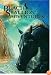 Black Stallion Adventure Set