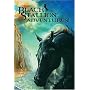 The Black Stallion Adventures! 4 Volume Boxed Set comprising The Black Stallion, The Black Stallion Returns, The Black Stallion�s Ghost, The Black Stallion Revolts