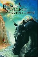 Black Stallion Adventure Set