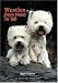 Westies: From Head to Tail
