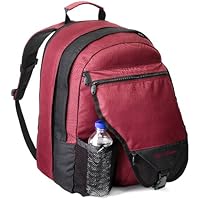 Rick Steves Veloce Travel Pack