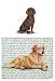 Boykin Spaniel Glass Cutting Board