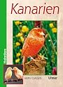 Kanarien: Verhalten, Ern&auml;hrung, Pflege