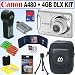 Canon PowerShot A480 10 MP Digital Camera (Silver) + 4GB Deluxe Accessory Kit
