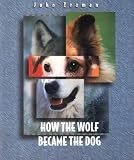 How the Wolf Became the Dog (Before They Were Pets)