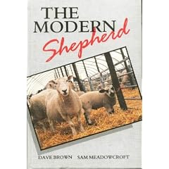 The Modern Shepherd