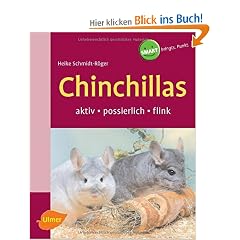 Chinchillas: Aktiv - possierlich - flink