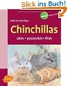 Chinchillas: Aktiv - possierlich - flink
