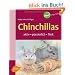 Chinchillas: Aktiv - possierlich - flink