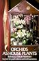 Orchids as House Plants