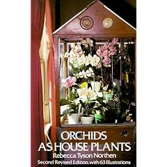 Orchids as House Plants