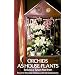 Orchids as House Plants