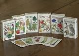 Set of 2 Cards = Speices & Trees