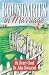 Books : Boundaries in Marriage