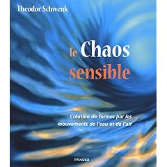 Le chaos sensible : Creation de formes par les mouvements de l'eau et de l'air