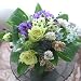 �t�����[�y �A�����W�����g�@�L�O���@�a�����@�t�����[�M�t�g�@�ԁ@�V�z�j���@�J�X�j���@�u���[�n be �z