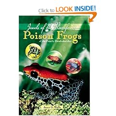 Poison Frogs: Jewels of the Rainforest