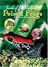 Poison Frogs of the Family Dendrobatidae: Jewels of the Rainforest