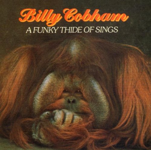Billy Cobham Foto 20