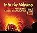 Into the Volcano: A Volcano Researcher at Work