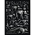 Evolution