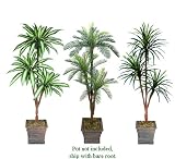 Three 6' Triple Head Artificial Trees: Dracaena + Cycas + Yucca, with No Pot,