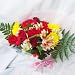 ��̓��ɑ��������J�[�l�[�V�����T�{�E�o���R�{�ɋG�߂̉Ԃ̐Ԍn�ԑ�10���܂ł̂������ő��������\�i�x�Ɠ��͕s�j