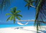 Maldives Island (Hammock, Huge) Art Poster Print - 39 X 55