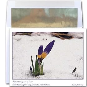 Merry Year - New Year Holiday Cards, Box of 10 cards and envelopes