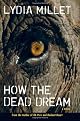 How the Dead Dream