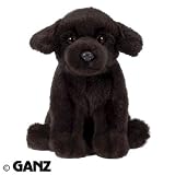 Webkinz Signature Small Black Lab with Trading Cards