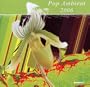 Pop Ambient 2006