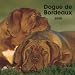 Dogue de Bordeaux 2009 Square Wall Calendar