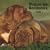 Dogue de Bordeaux 2009 Square Wall Calendar